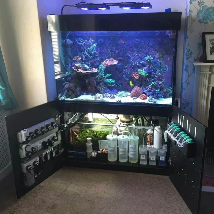 Crystal clear water like a fish tank — Spa Marvel keeps water naturally clean